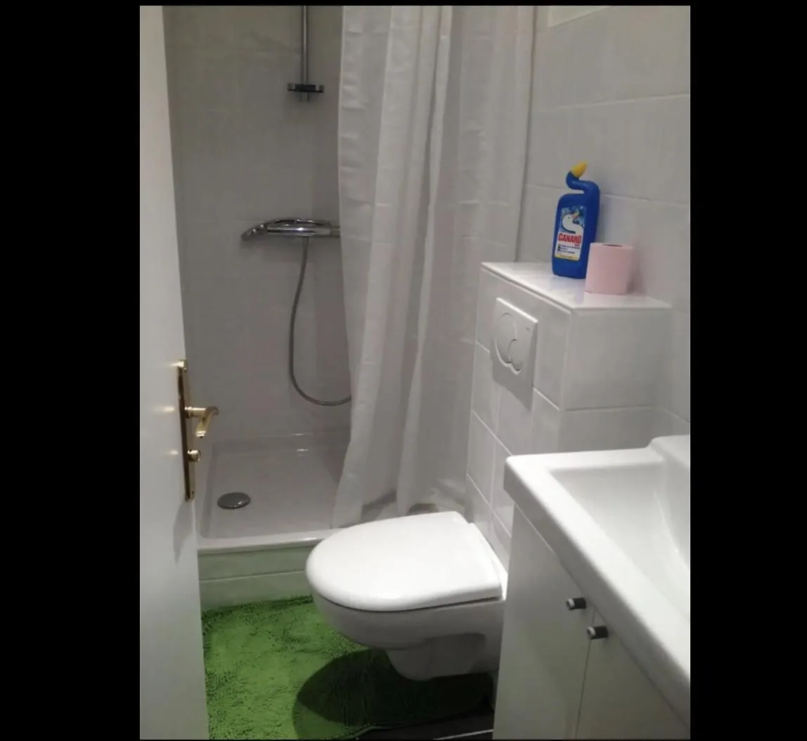 Apartment Somptueux Appartement Beau-Rivage Annecy